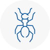 Ant Removals In Purfleet