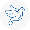 Bird Prevention Purfleet