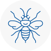 Purfleet Hornet Nest Removals