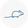 Mice Exterminators In Purfleet