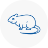 Rat Control Purfleet