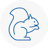Purfleet Rodent Removals