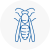 Purfleet Wasp Nest Removal